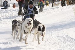 Lenk 2012 SM